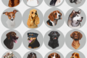 породы собак