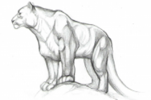 зарисовка-2