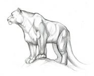 img1925052.png