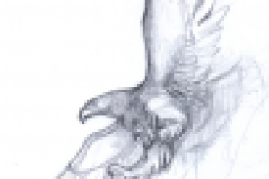 зарисовка-3