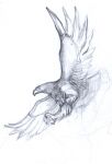 img1925050.png