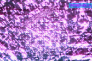 Концертное шоу певицы "Лоя - Звезды"