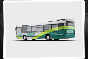 Работа 3254749