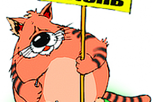 Рисунок для ИД "Крестьянин"