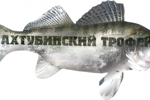 Буклет-рыбка для фестиваля "Ахтубинский трофей"