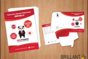 Фирменная папка