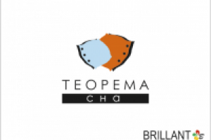 Теорема сна