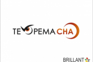 Теорема сна