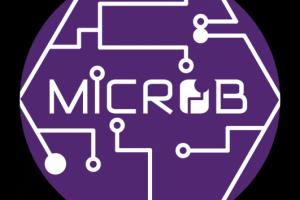 Логотип ДОП «MicRob»