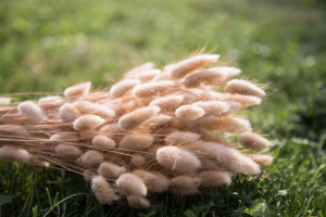 Работа 3553984