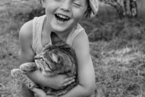 Работа 3322301