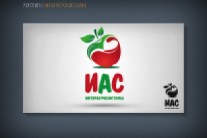 Работа 2173544