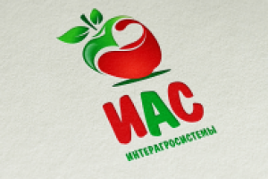 Работа 2173541