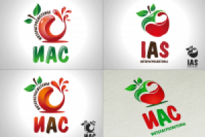 Работа 2173553