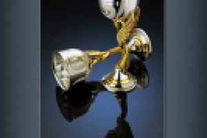 Работа 2173603