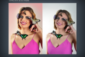 Работа 2198097