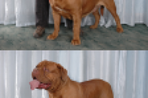 Ретушь фото