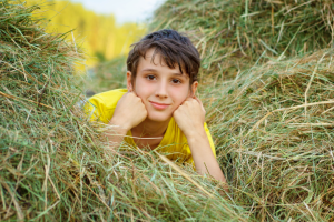 Работа 3617078