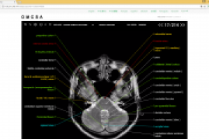 Разаротка  сайта OMCSA