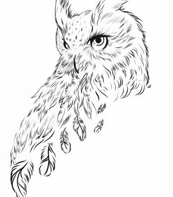img3614427.png