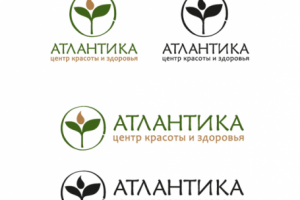 Работа 3235743