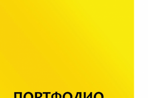 Портфолио