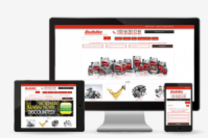 belblitz.by (ПОД КЛЮЧ)