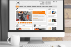 Termit (РАЗРАБОТКА ПОД КЛЮЧ)