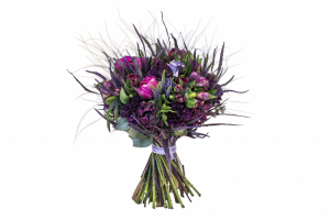 Работа 3177238