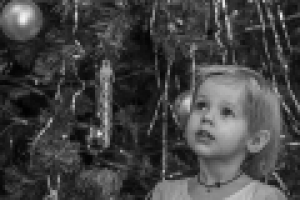 У Новогодней ёлки