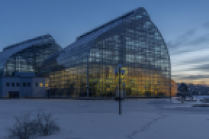 Оранжерея ГБС РАН