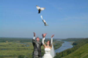 Свадьба. Весна 2009