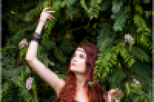 Работа 1586263