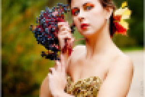 Работа 1586258