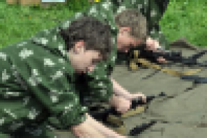 Работа 1065531