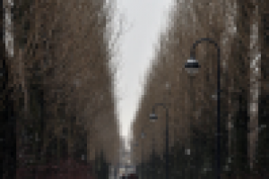 Работа 1065496