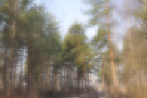 Работа 1009529