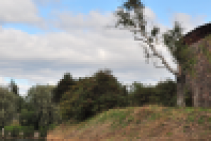 Работа 1009525