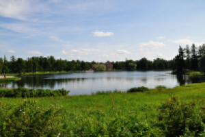 Работа 1009524