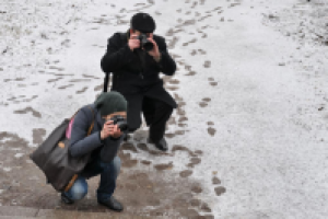 Работа 1065627