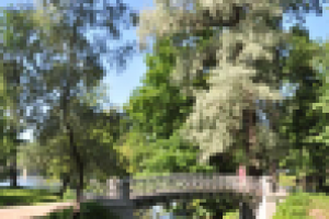 Работа 1065587