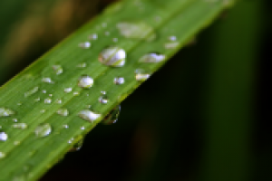 Работа 2531731