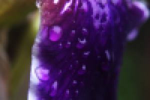 Работа 2531725