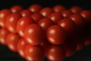 Работа 2531676