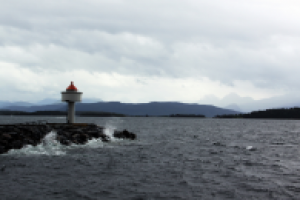 Работа 2531748