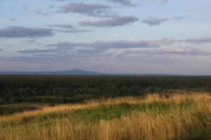 Работа 2531693