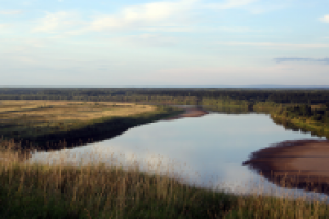 Работа 2531718