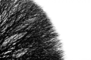 Работа 2531705