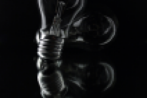 Работа 2531683