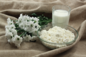 Работа 2531677